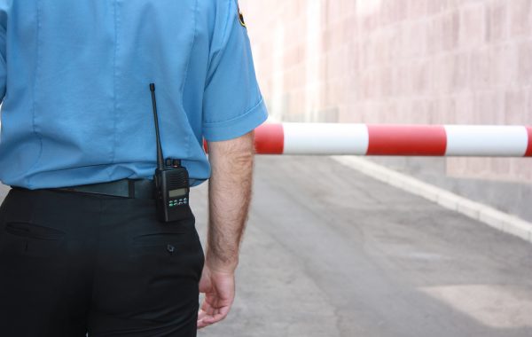Suspendisse arcu nisl